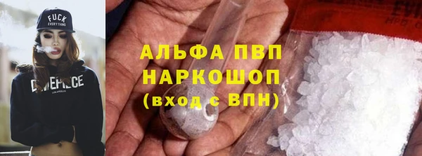 эйфоретик Аркадак